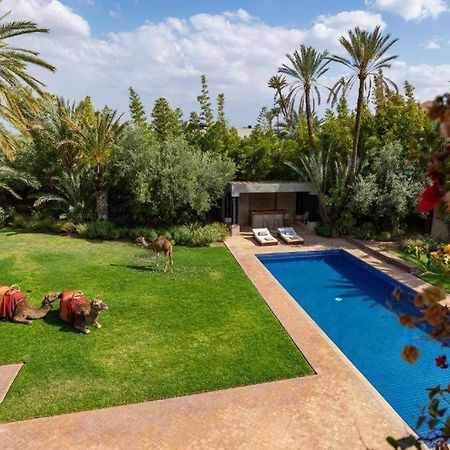 Villa Sahar Palmeraie Avec Piscine Chauffee ! Marrakesch Exterior foto