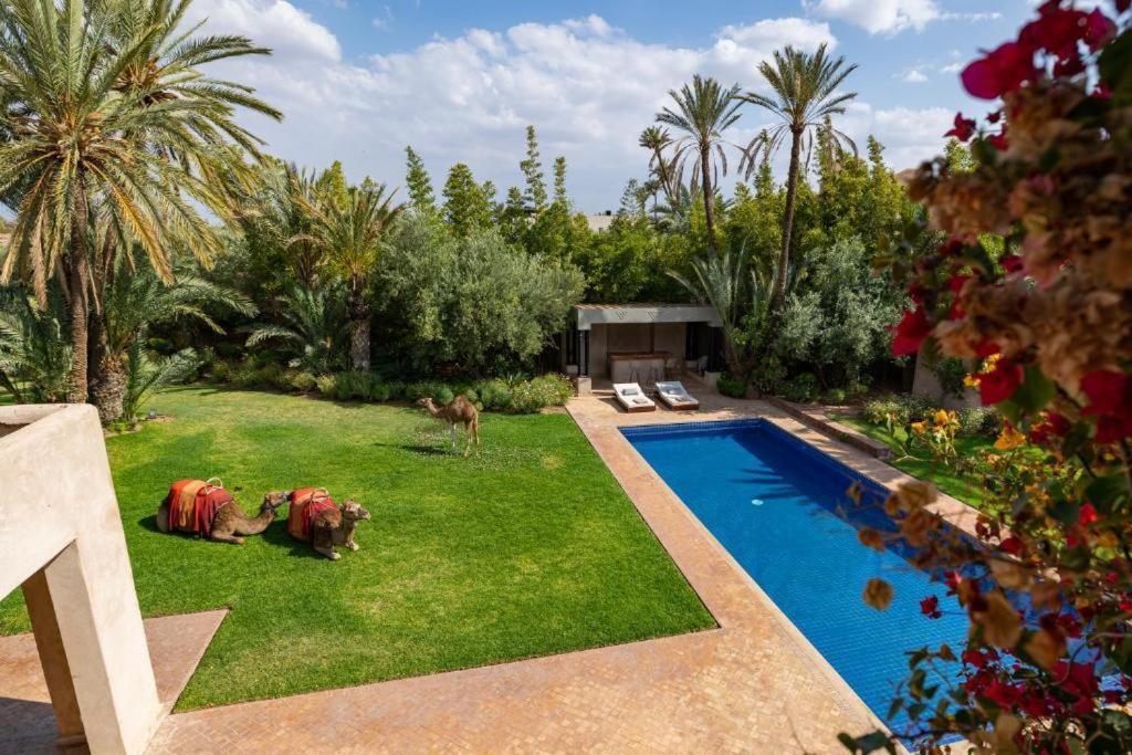 Villa Sahar Palmeraie Avec Piscine Chauffee ! Marrakesch Exterior foto